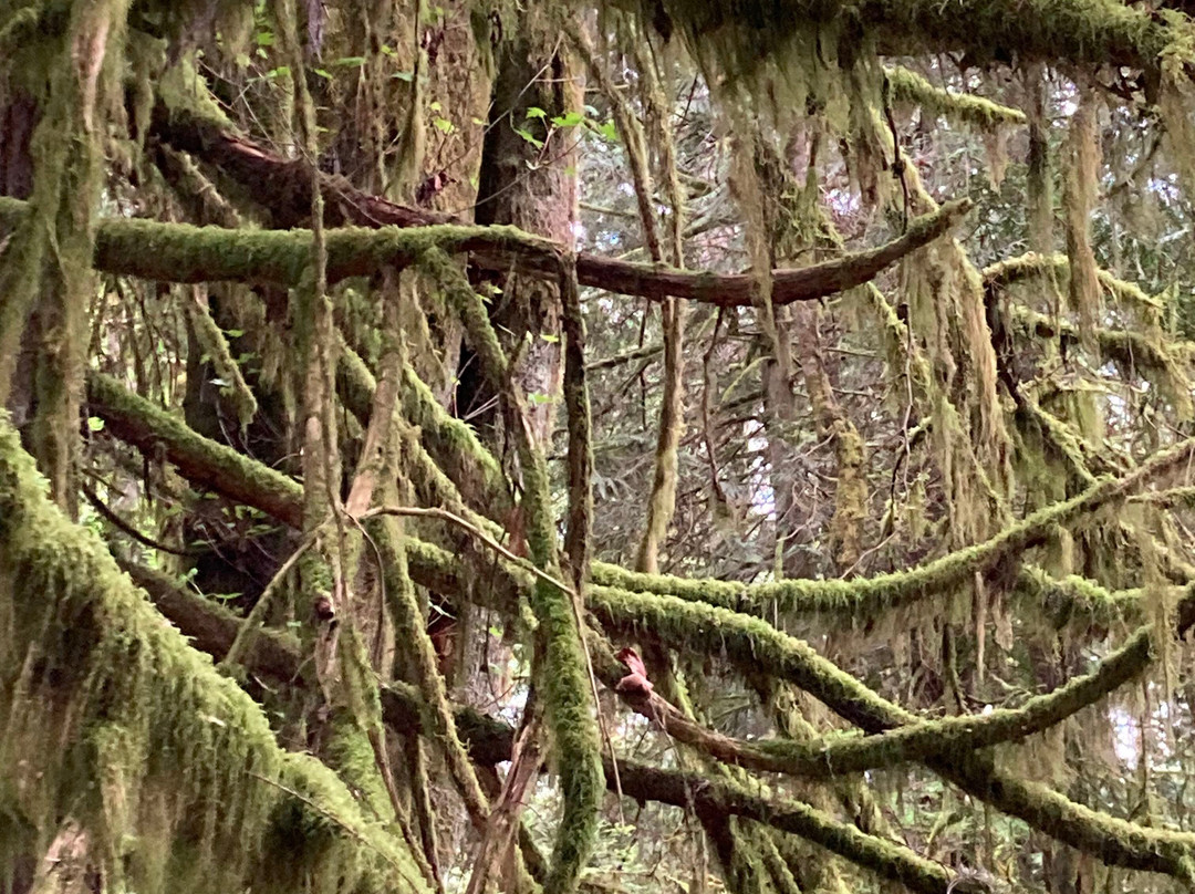Crescent Lake County Park Trailhead