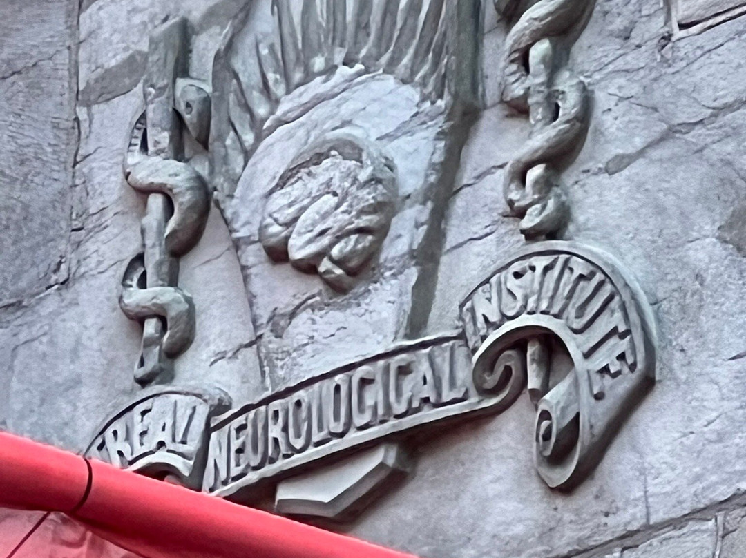 麦吉尔大学-蒙特利尔必去景点