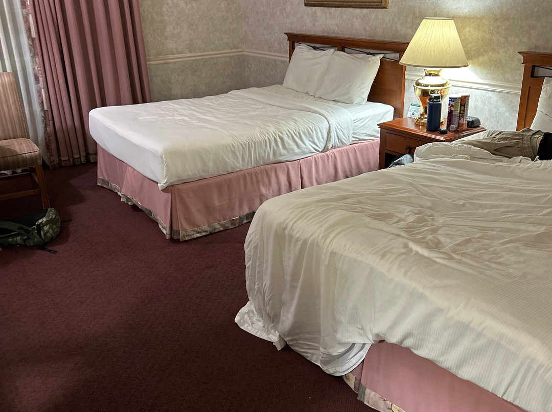 肖皮卡迪利酒店主图