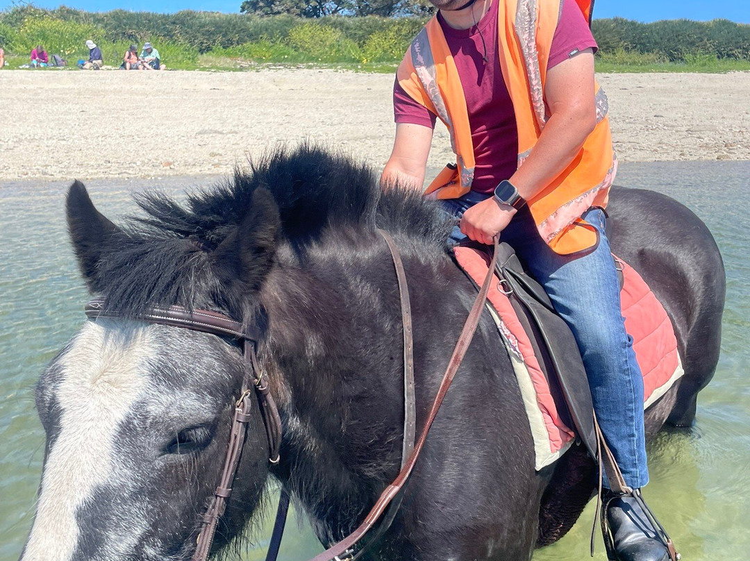 St Mary's Riding Centre-St Mary's必去景点