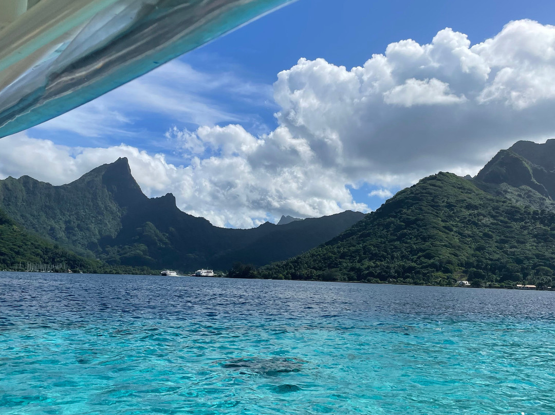 Fluid Tahiti Dive Center景点图片