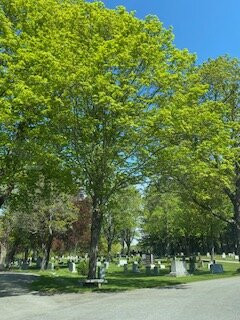Laurel Hill Cemetery景点图片