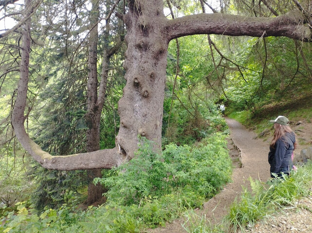 Aira Force Waterfall景点图片
