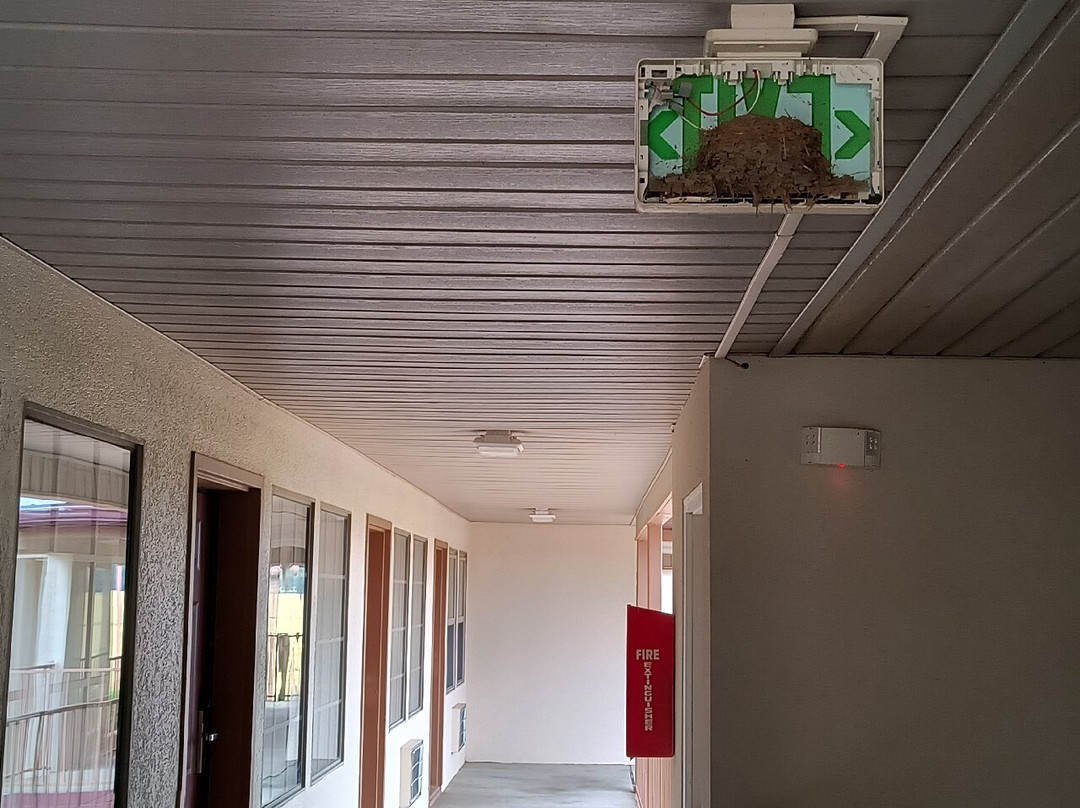 Red Roof Inn Cadiz主图