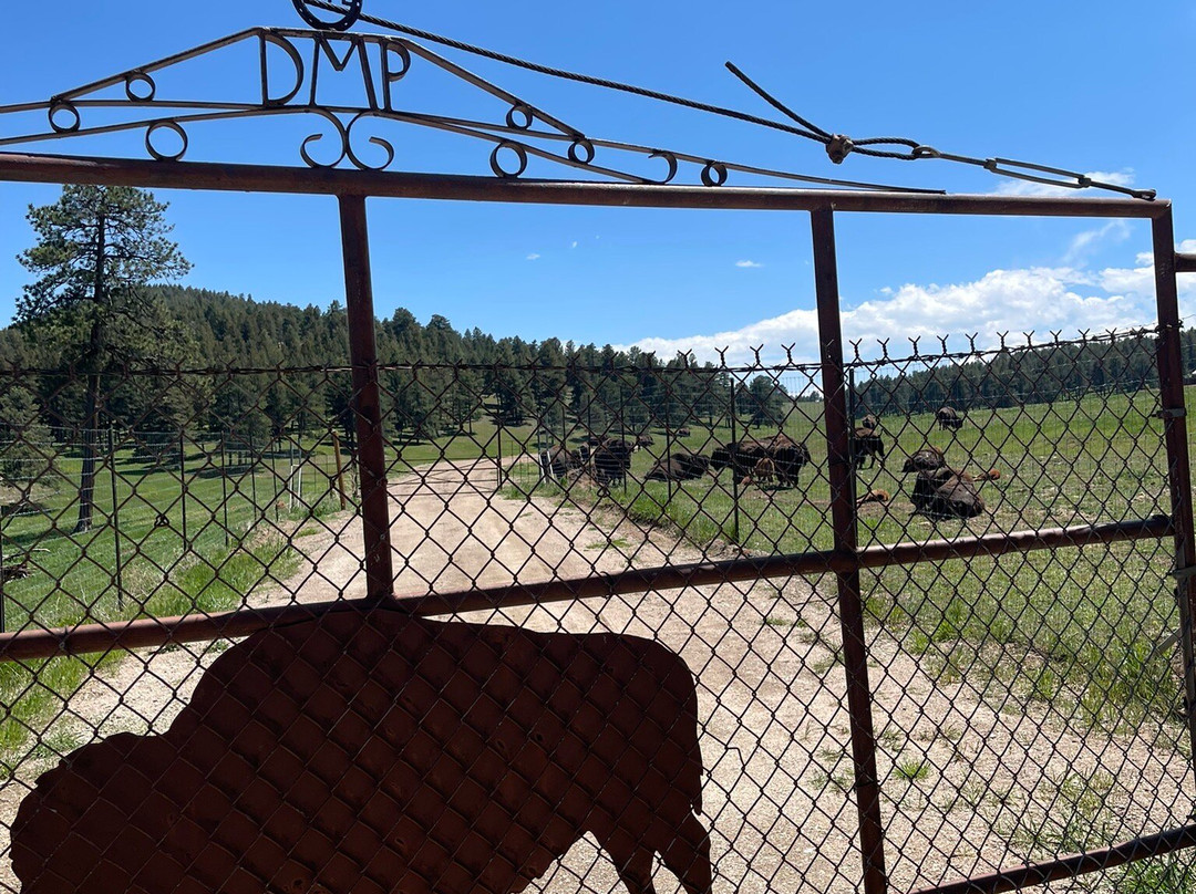 Genesee Park-丹佛必去景点