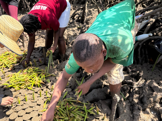Trek Afrika Adventures-蒙巴萨必去景点