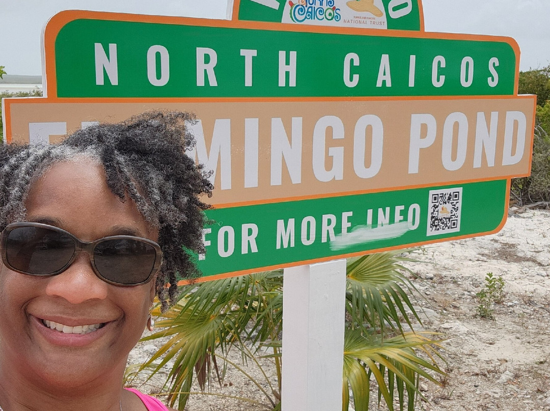 Flamingo Pond Overlook-North Caicos必去景点