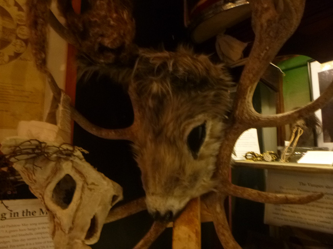 Gwithti an Pystri, a Cabinet of Folklore and Magic