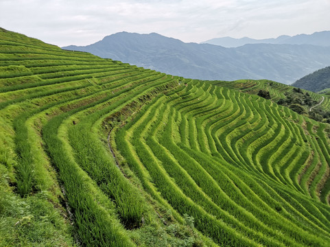 Guilin PrivateTours-桂林市必去景点