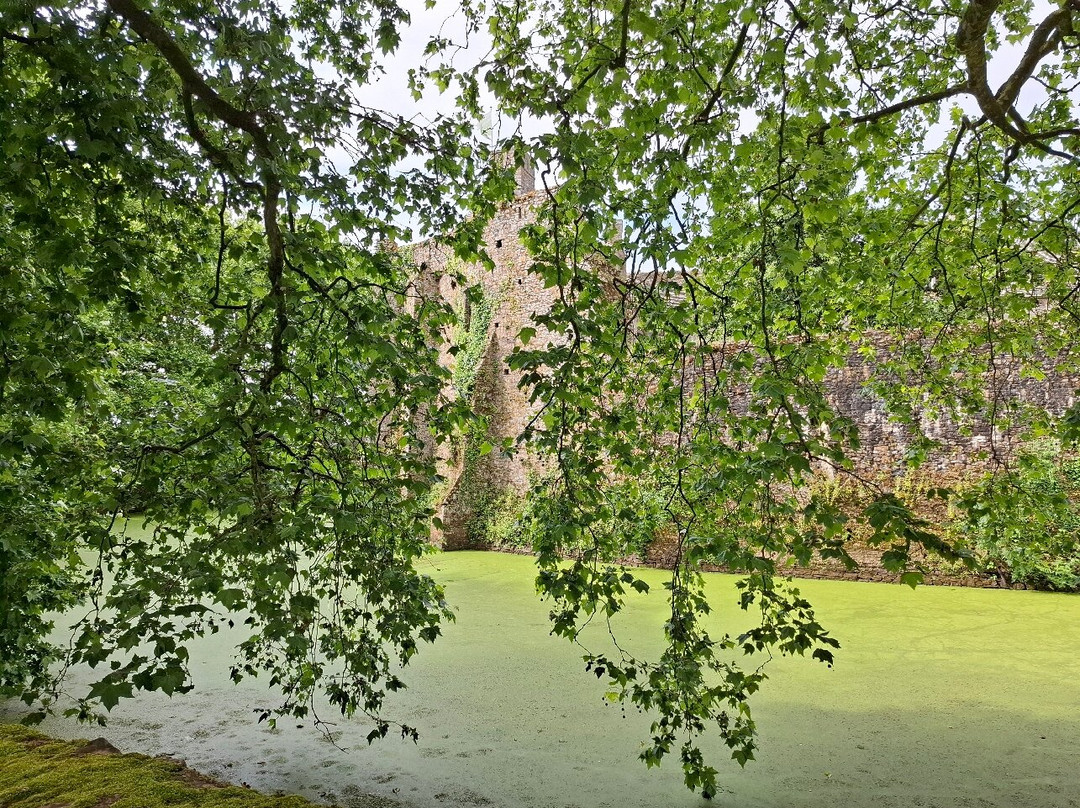 Chateau Fort de Pirou景点图片