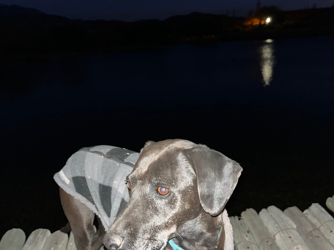 Hotel Castillos De Cafayate主图