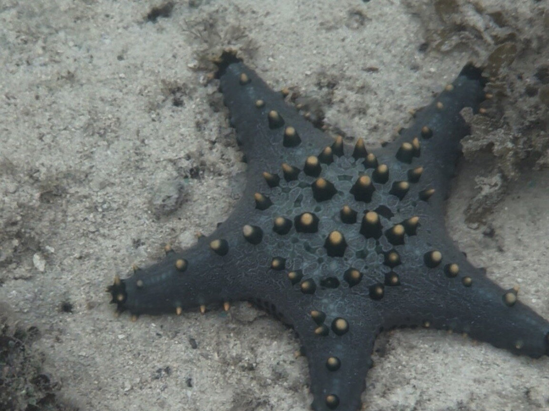 San Vicente Marine Sanctuary景点图片