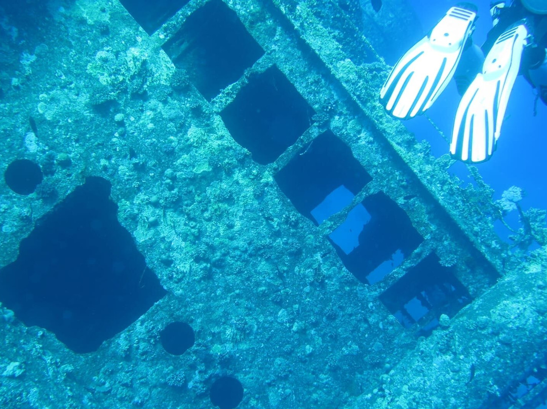 Dive In Sharm-沙姆沙伊赫必去景点