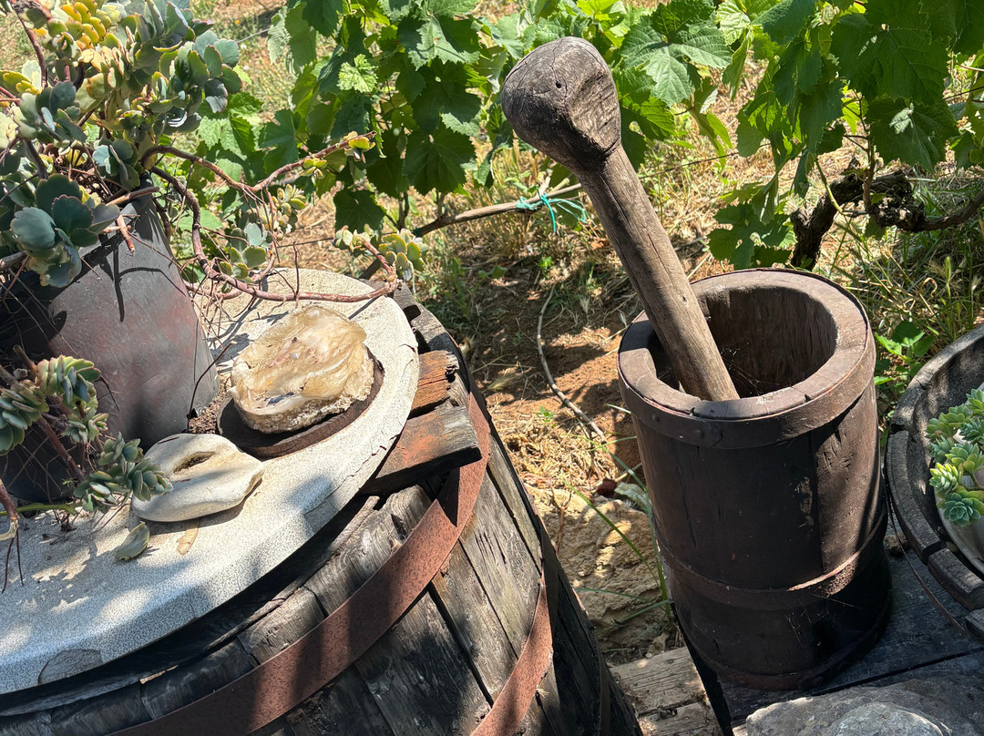 Georges bikes-Agios Georgios必去景点