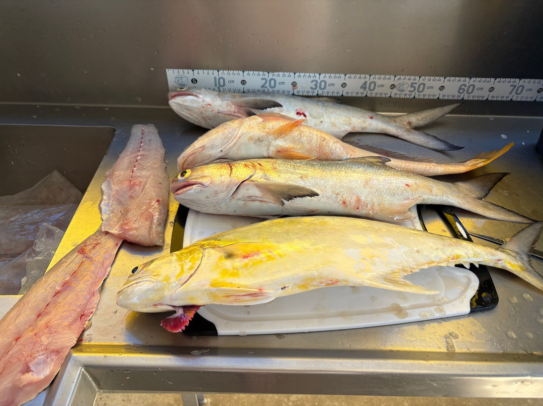 Mick's Fishing Adventures Karumba-Karumba必去景点