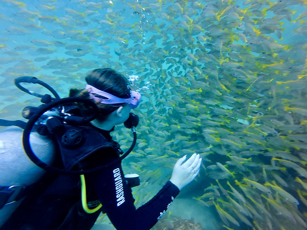 Nemo Diving Center - Fujairah-Dibba Al Fujairah必去景点
