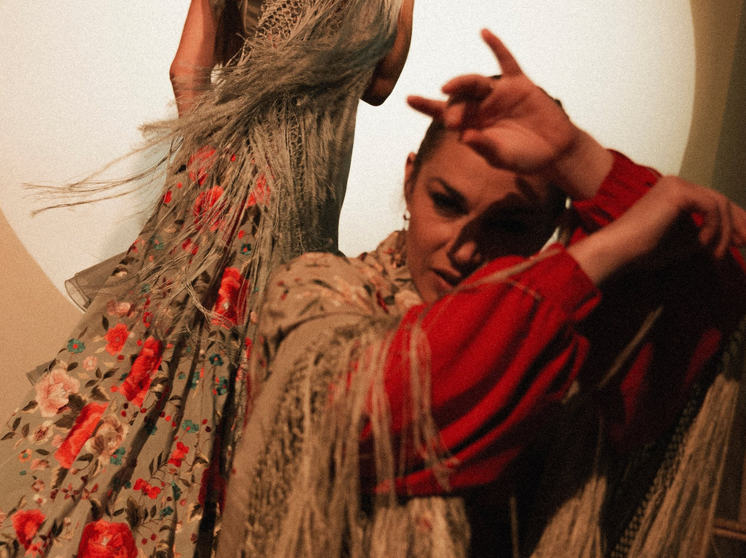 Centro Cultural Flamenco-马德里必去景点