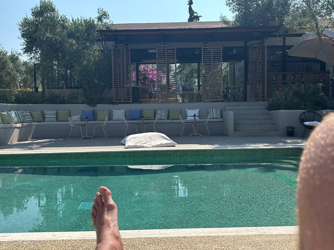 Elies 33 Bio Retreat主图