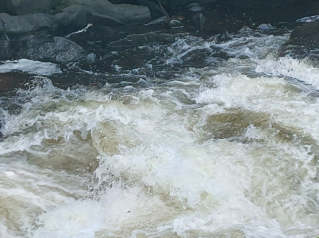 Oxtongue River-Ragged Falls Provincial Park-Dwight必去景点