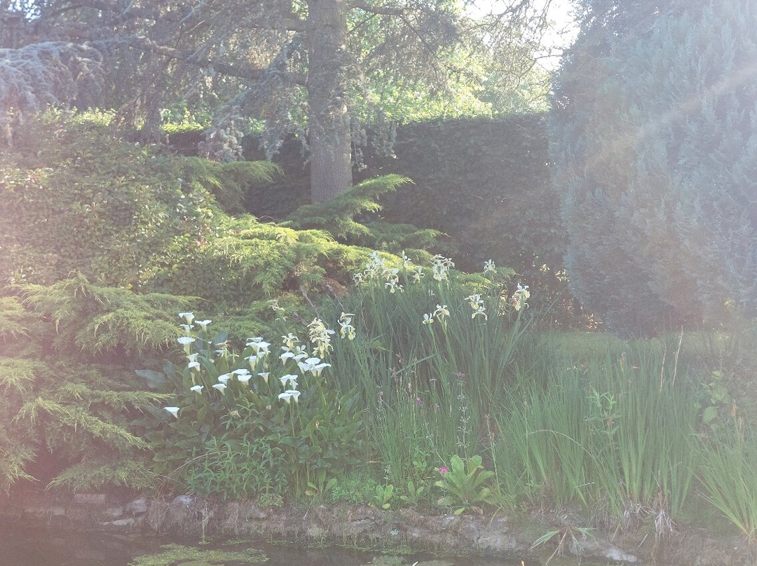 Champneys Henlow Spa-Henlow必去景点