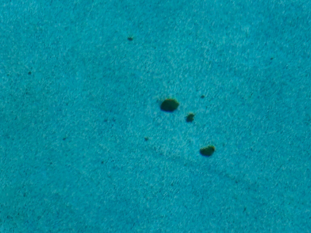 Baymont by Wyndham Lancaster主图