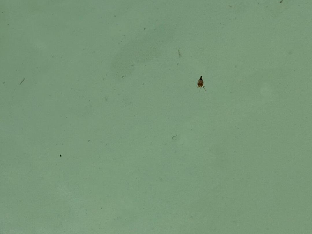 Hyatt Regency Newport Beach West主图