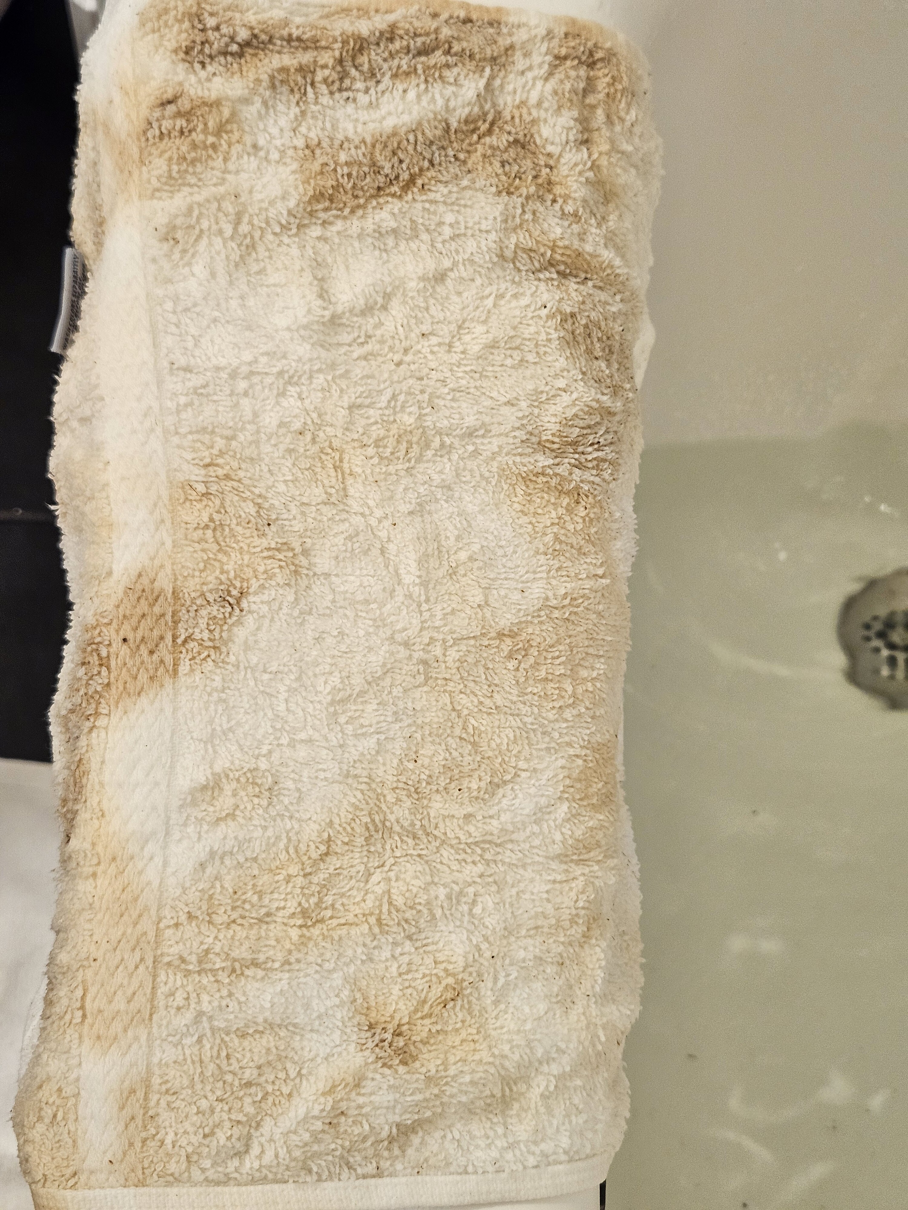 Ocean House Hotel at Bass Rocks-浴室