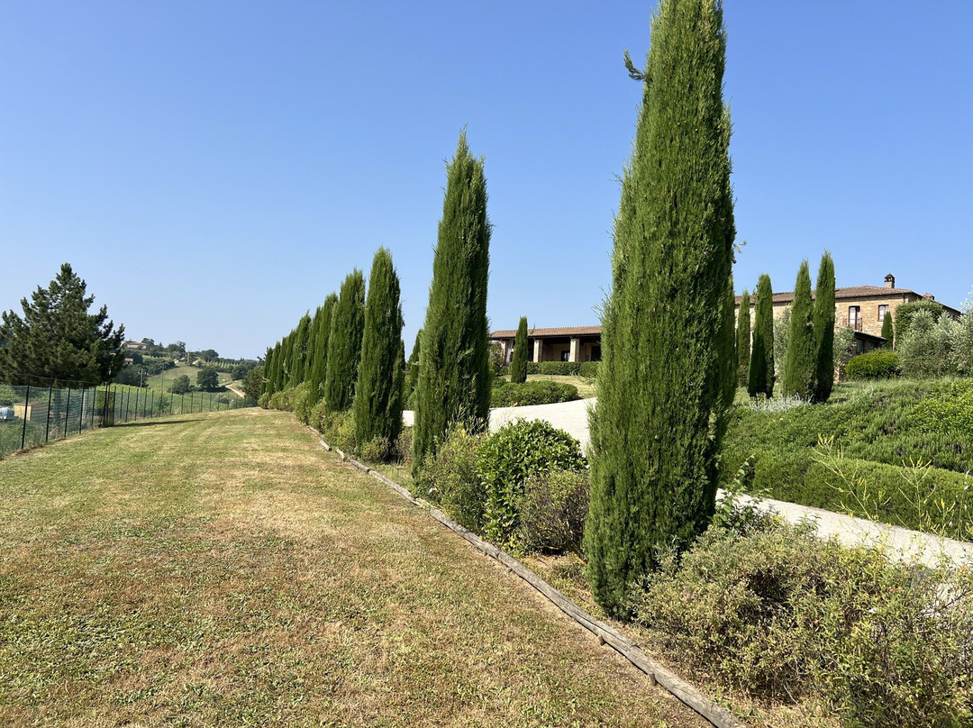 Tenuta Santavenere - Casa Vinicola Triacca-蒙特普尔恰诺必去景点