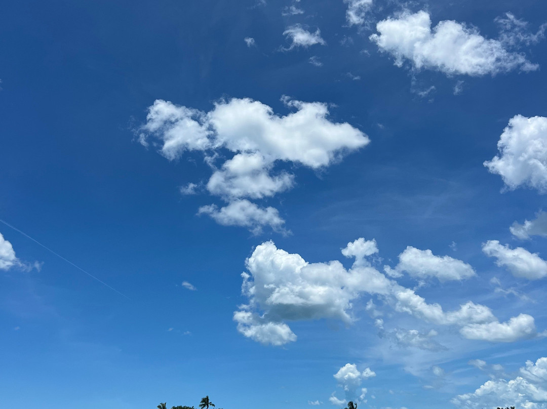 Naples Water Tours-那不勒斯必去景点