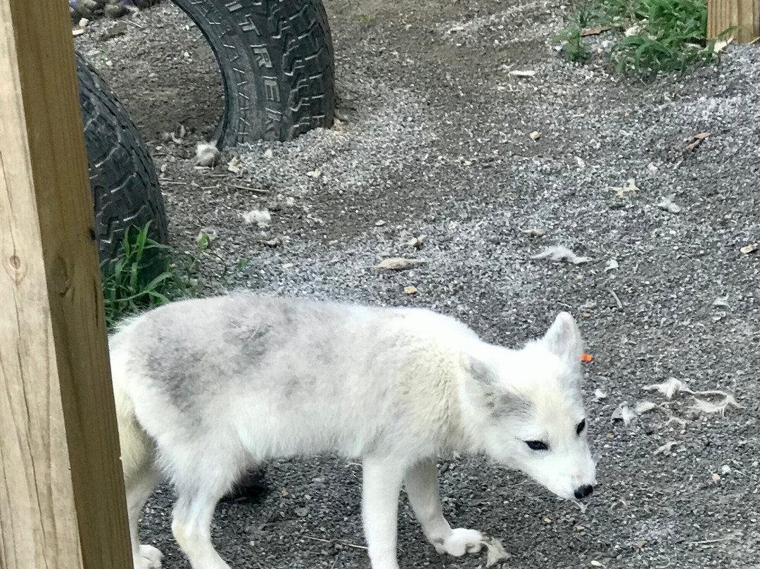 Creature Features Tennessee-Athens必去景点