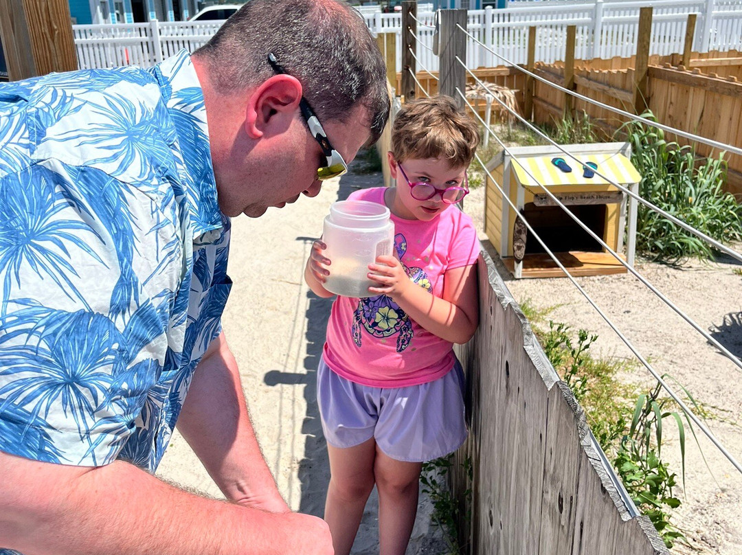 Navarre Beach Sea Turtle Conservation Center-纳瓦拉必去景点