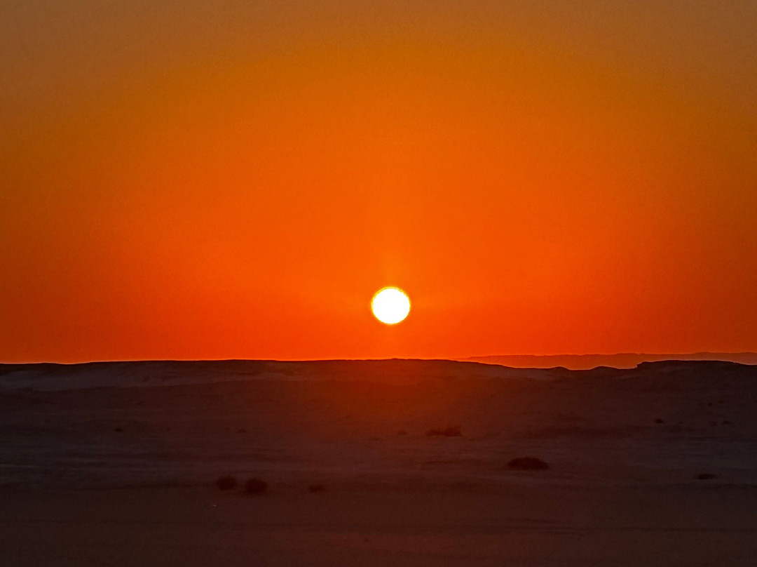 white desert travel-Bahariya Oasis必去景点