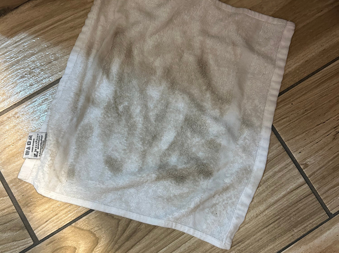 Best Western Freeport Inn主图