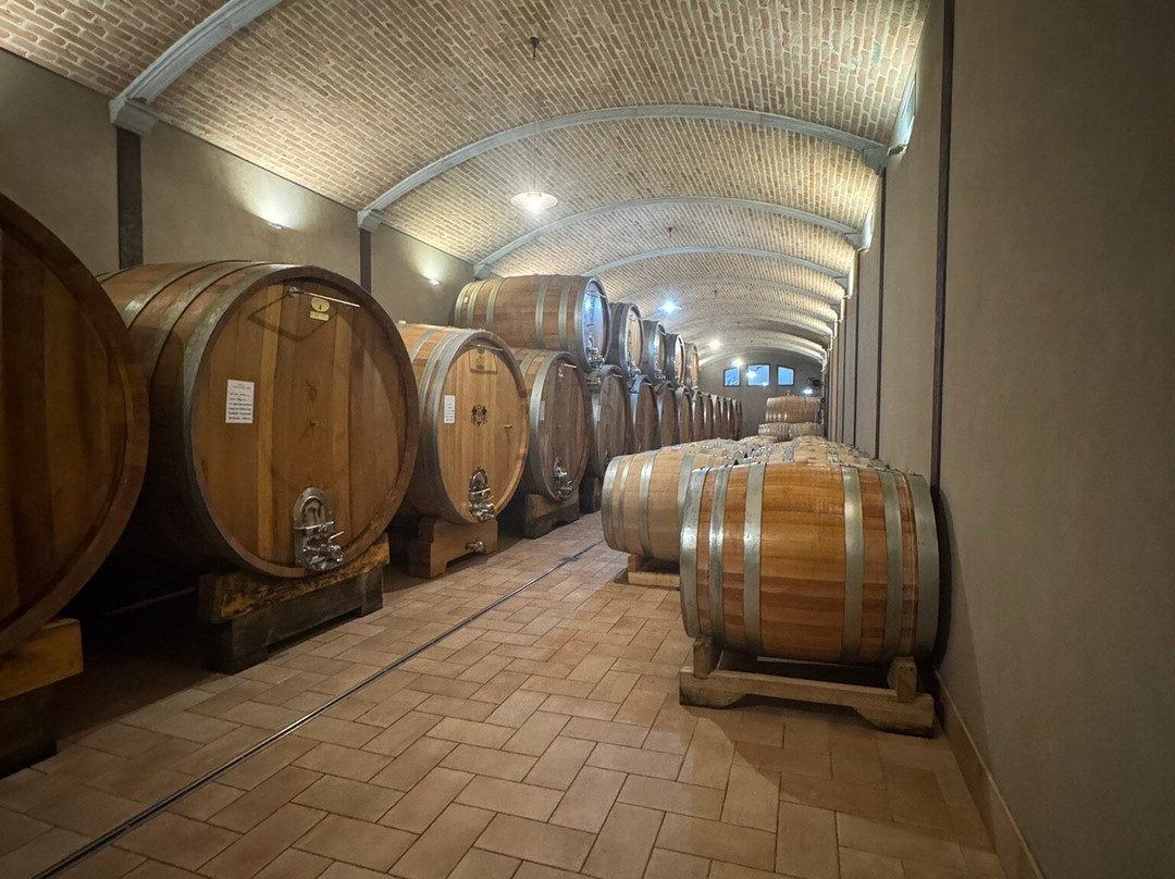 Massolino Winery-塞拉伦加达尔巴必去景点