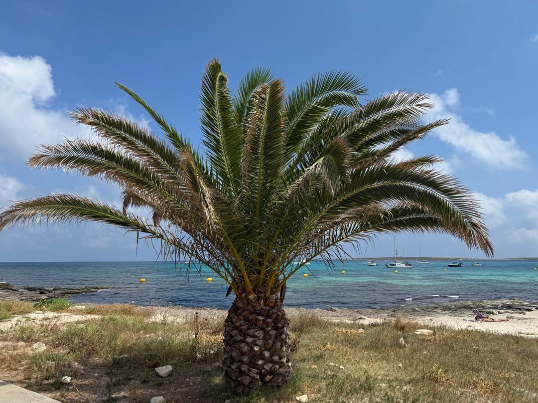 Punta Prima Beach-Punta Prima必去景点