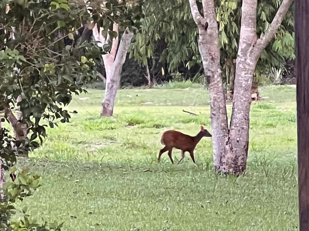 Parque Estadual Morro do Diabo-Teodoro Sampaio必去景点