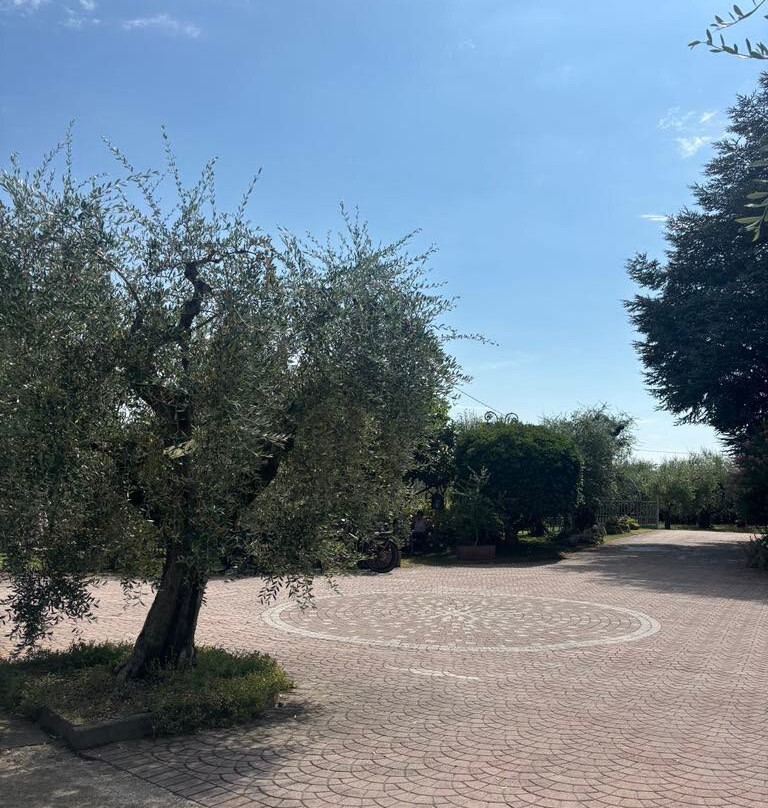 Azienda Agricola Costadoro-巴尔多利诺必去景点