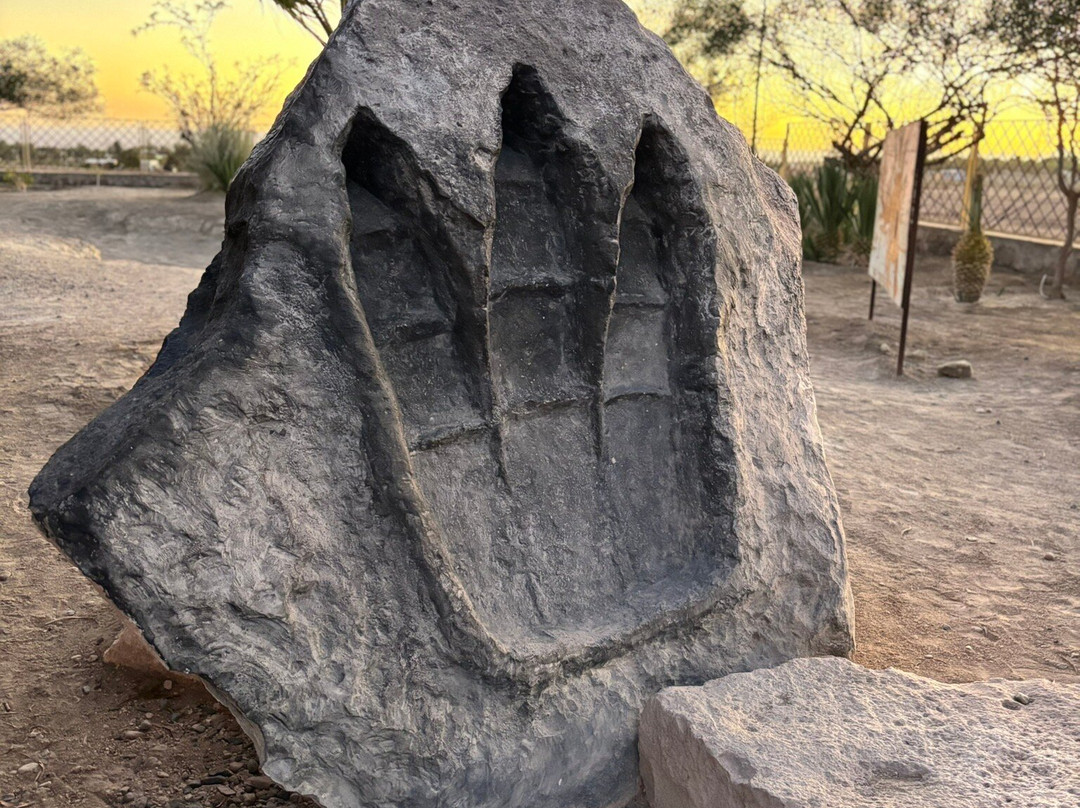 Valle de Los Dinosaurios-Pica必去景点