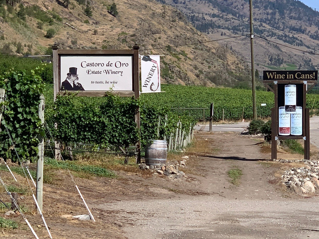 Castoro De Oro Estate Winery-Oliver必去景点