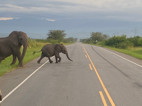 Moroka Expeditions-坎帕拉必去景点