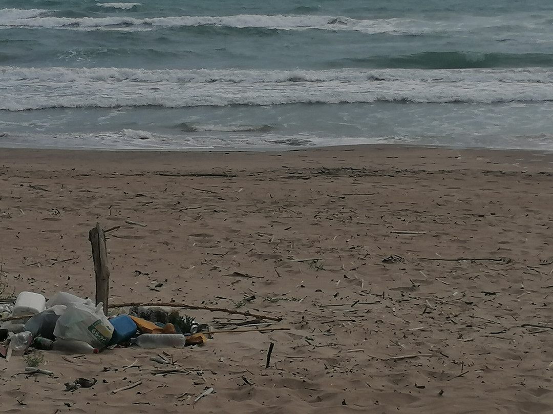 Playa De La Devesa Del Saler-巴伦西亚必去景点