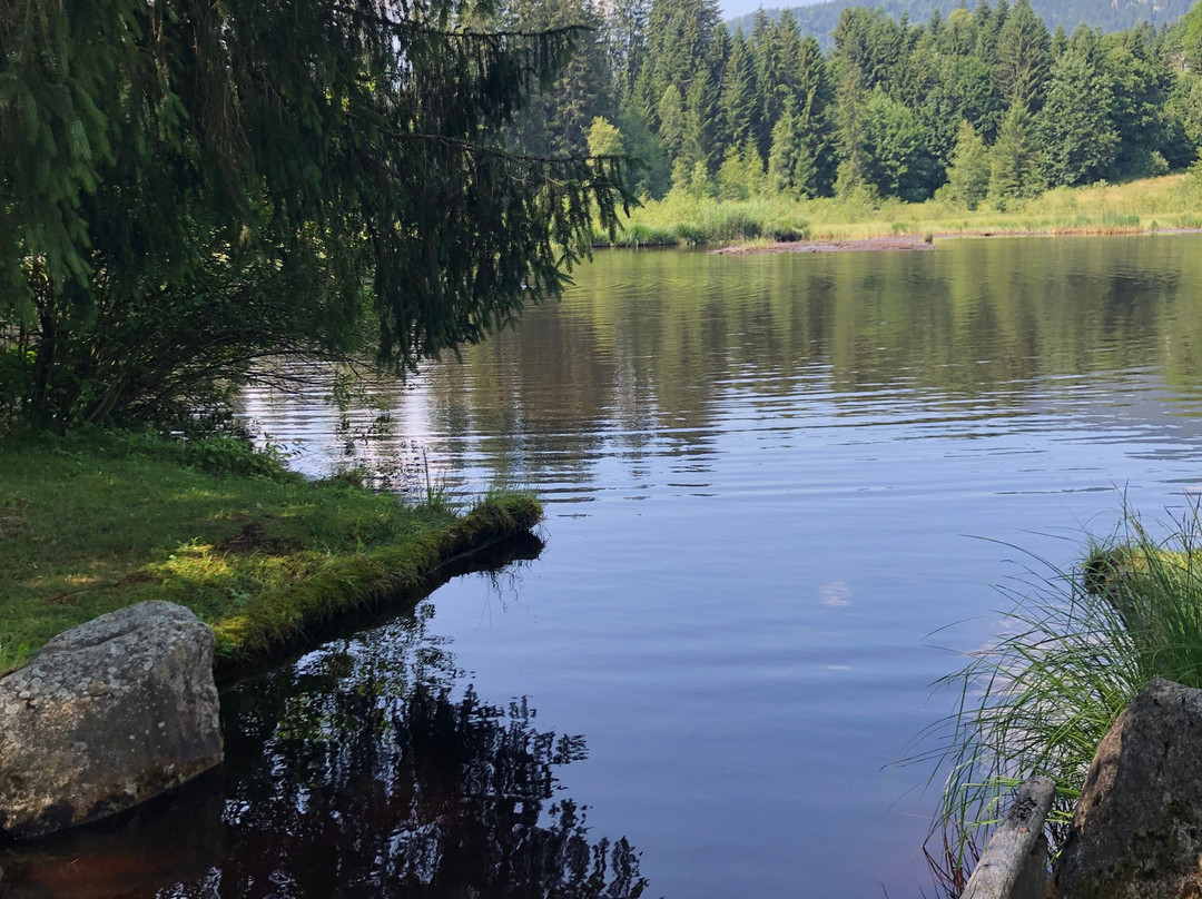 Waldbad Gieringer Weiher-Reith bei Kitzbuehel必去景点