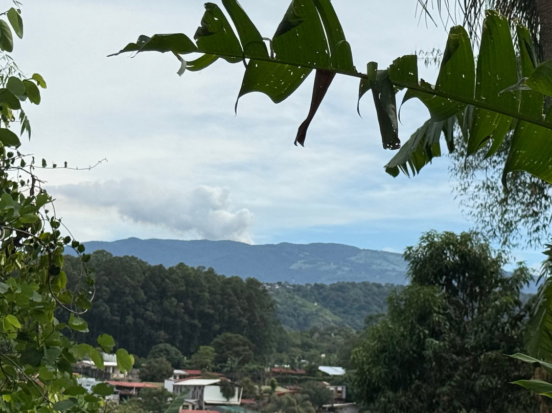 Pura Vida Hotel主图