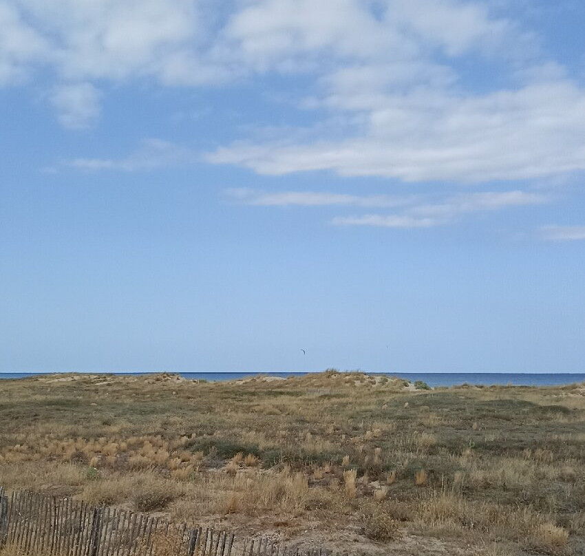 Étang de Canet - Saint-Nazaire.-Saint-Nazaire必去景点