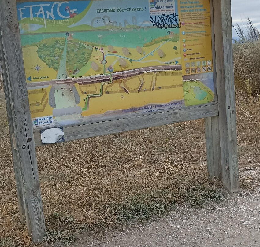 Étang de Canet - Saint-Nazaire.-Saint-Nazaire必去景点