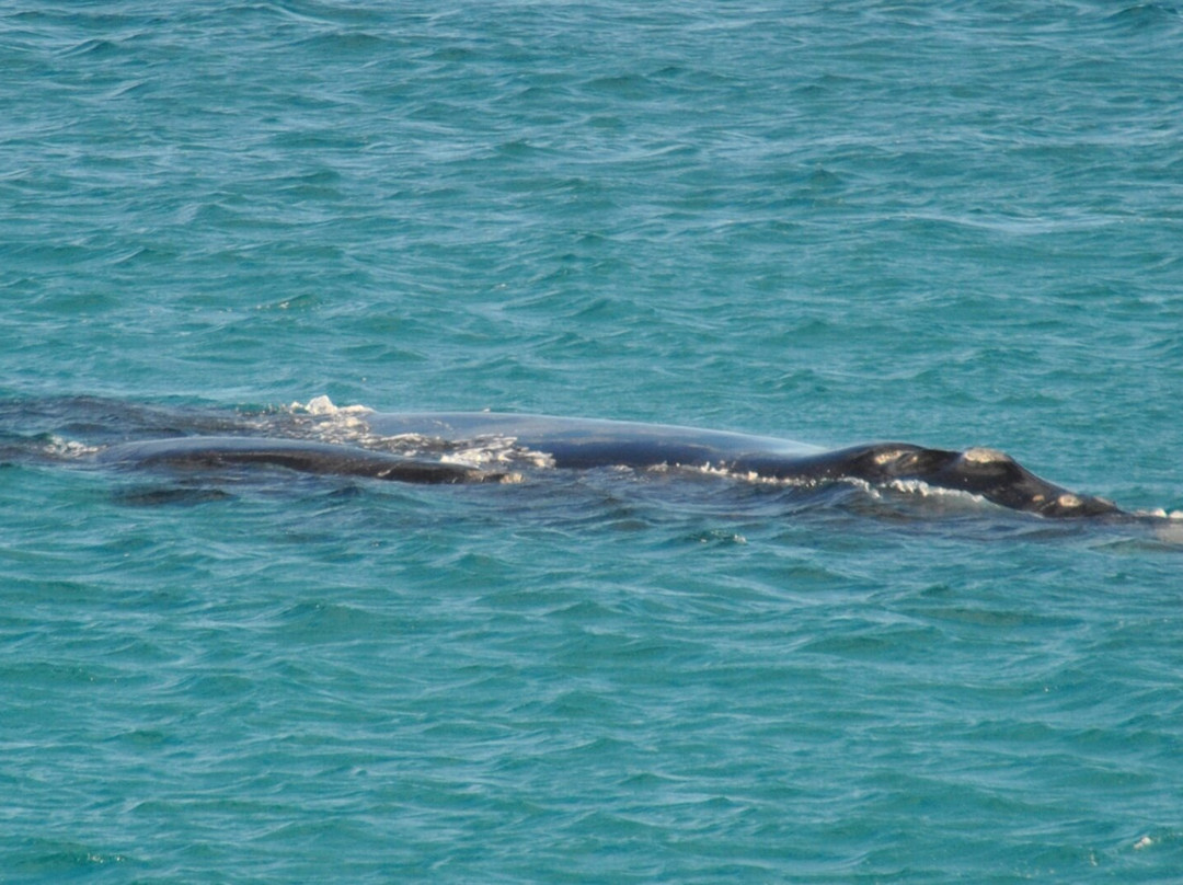Point Ann-Bremer Bay必去景点