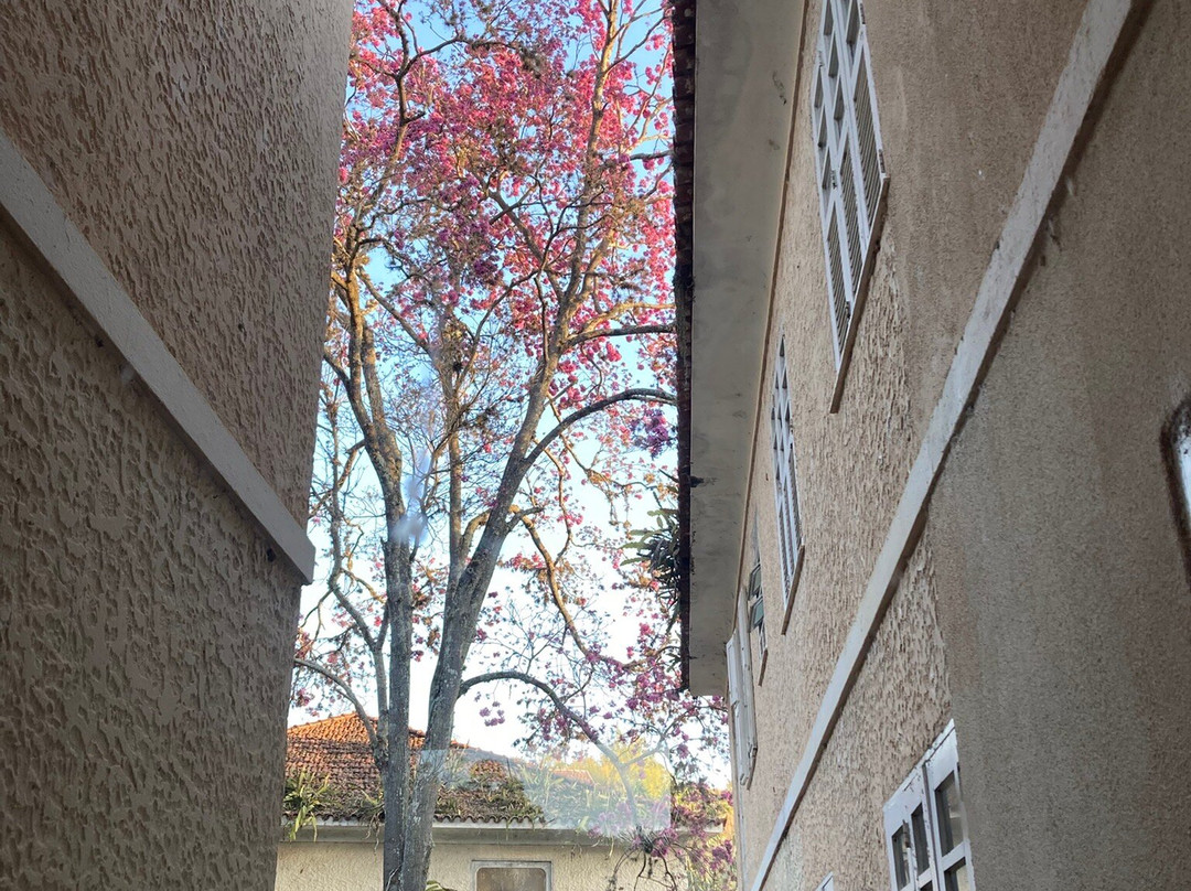 Arcozelo Palace Hotel主图