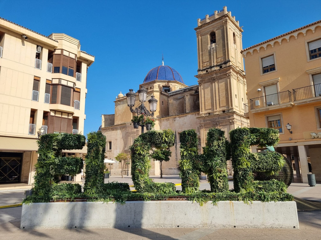 Museo Paleontologico de Elche-埃尔切必去景点