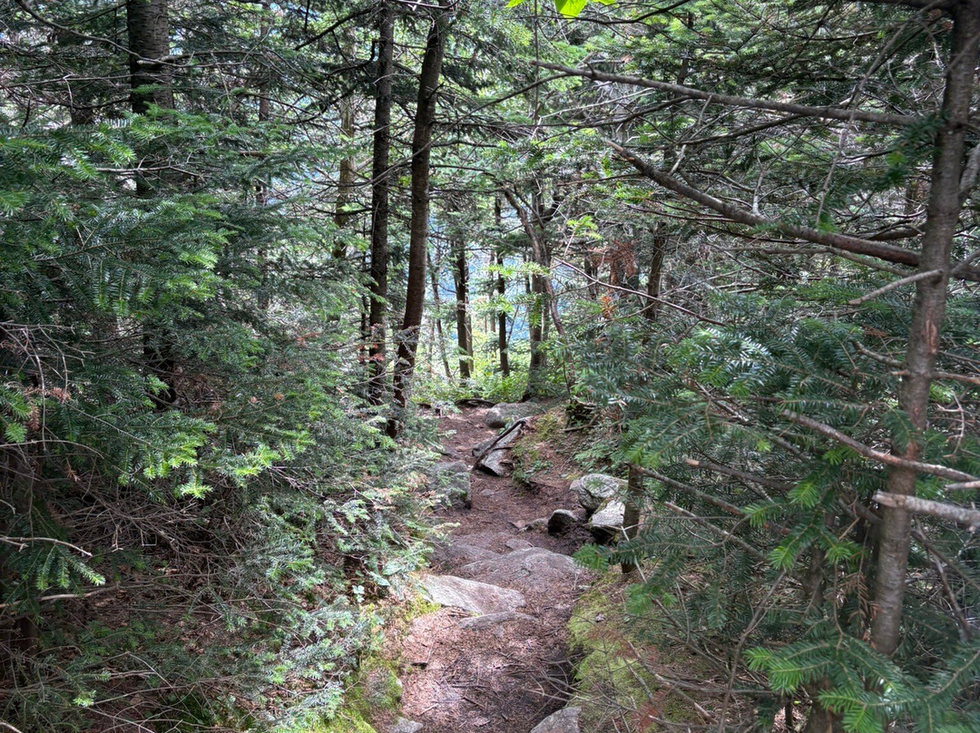 Cloudsplitter Gondola Ride-普莱西德湖必去景点