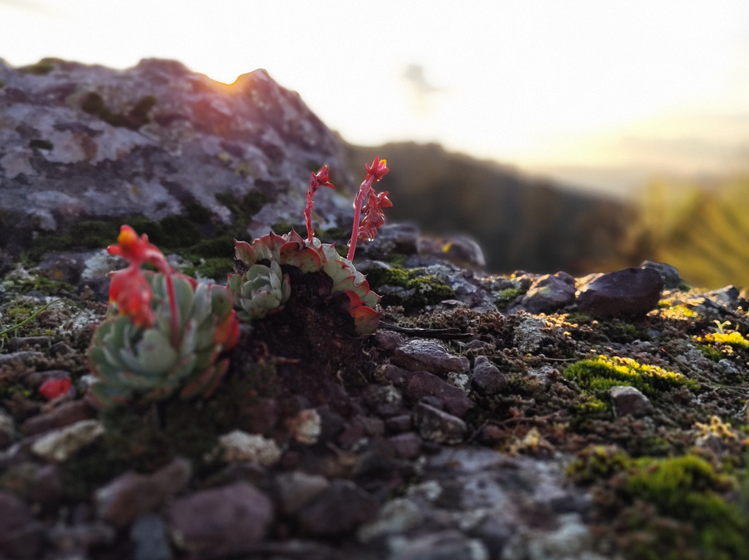 Sierra Outdoors-Mineral del Chico必去景点